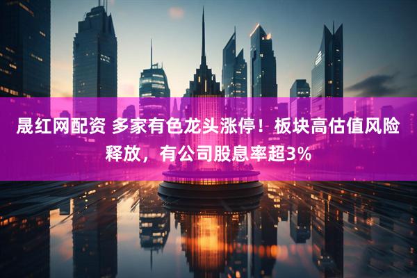 晟红网配资 多家有色龙头涨停！板块高估值风险释放，有公司股息率超3%